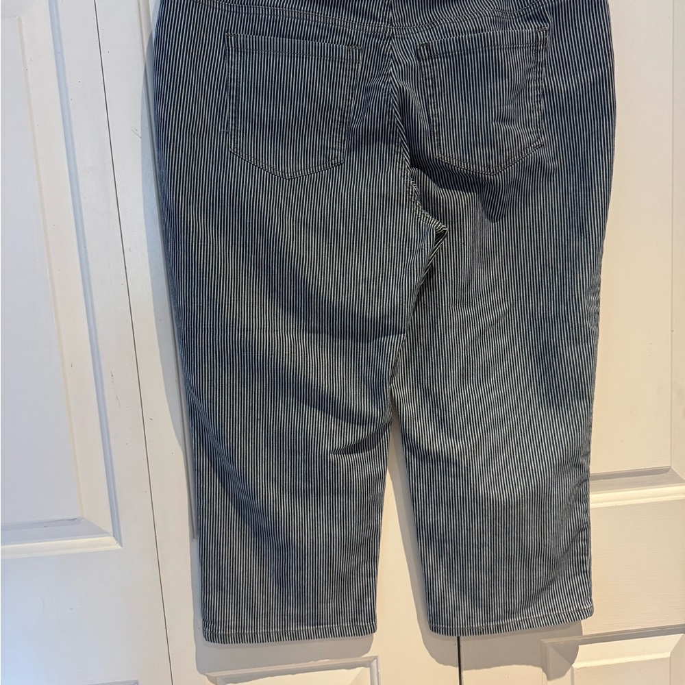 Style & Co. Blue Pinstriped Ankle Jeans Capri - Picture 3 of 5